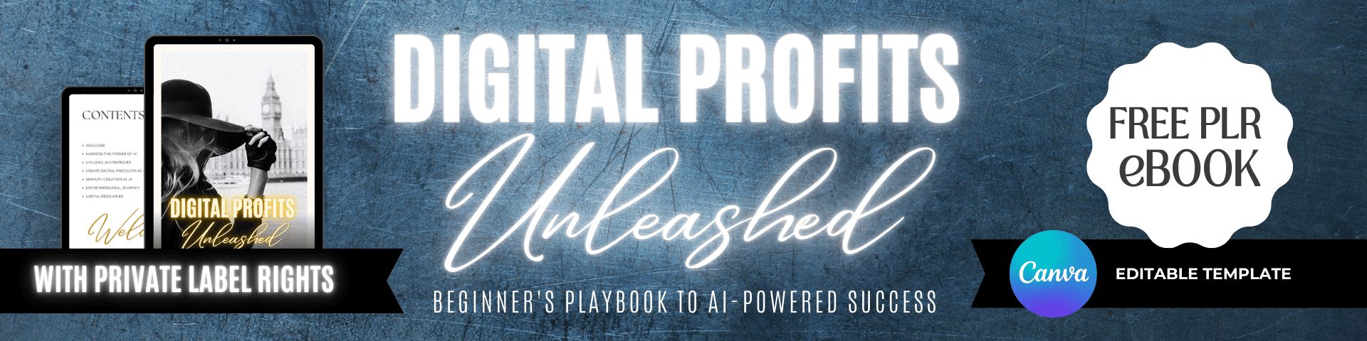 Free Downloadable PLR ebook—Digital Profits Unleashed, Beginners Guide to AI-driven Online Income - Free PLR Downloads to Make Money Online